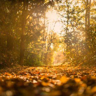 新澳门游戏网站入口下载手机版截图